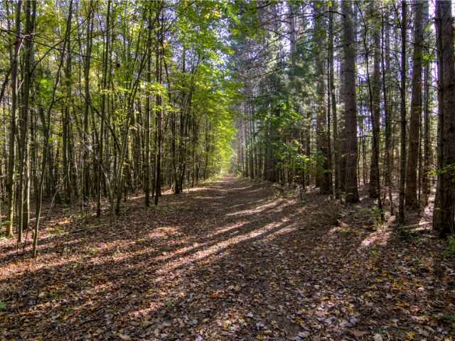 Neillsville Residential Real Estate