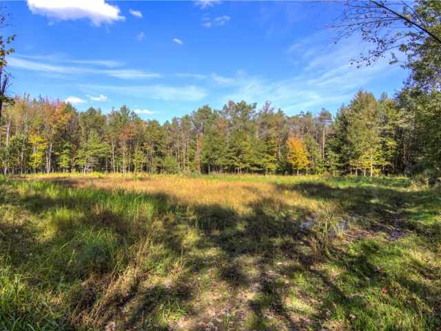 Neillsville Residential Real Estate
