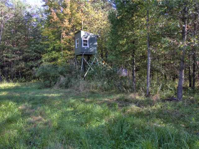 Neillsville Residential Real Estate