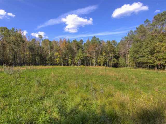 Neillsville Residential Real Estate