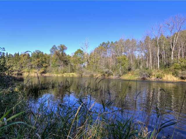 Hayward Residential Real Estate