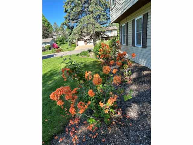 Black River Falls Residential Real Estate