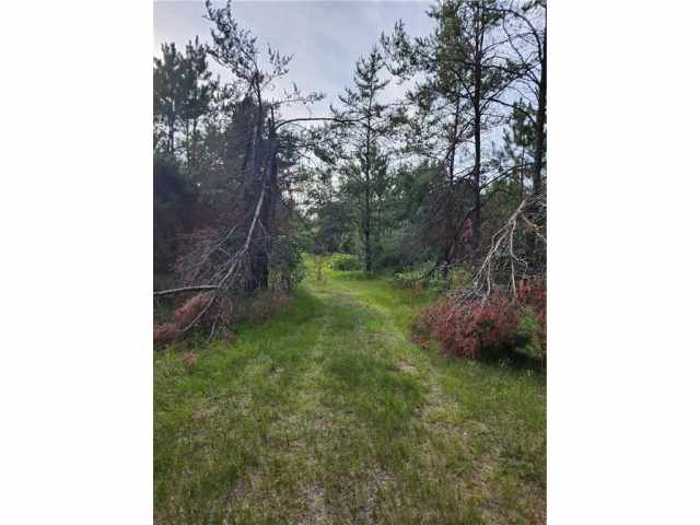 Sparta Land Real Estate