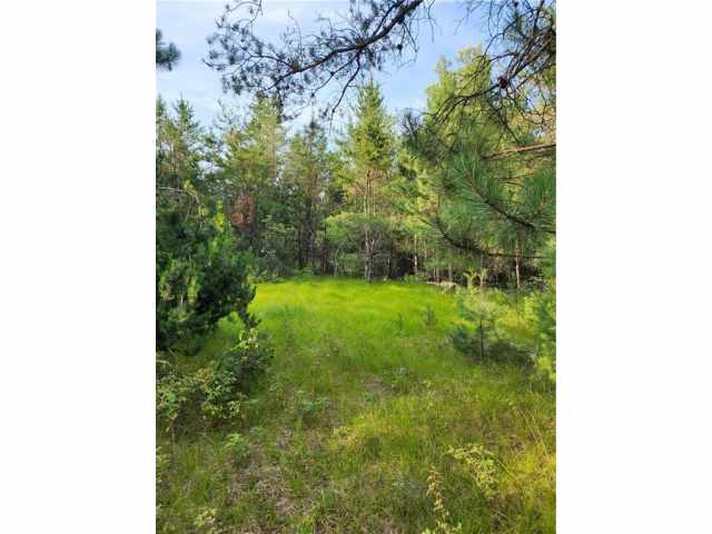 Sparta Land Real Estate