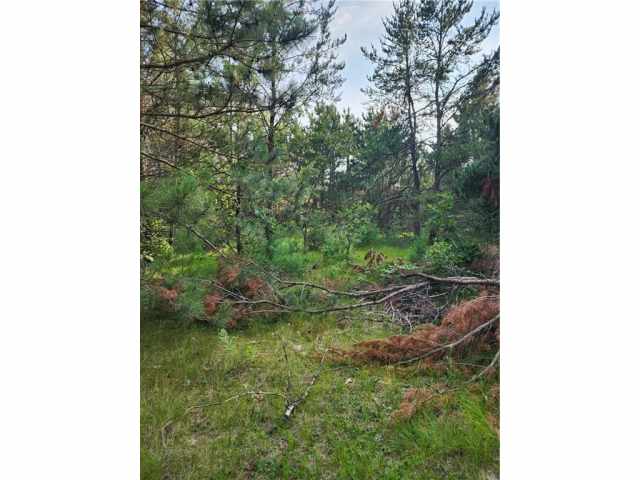 Sparta Land Real Estate