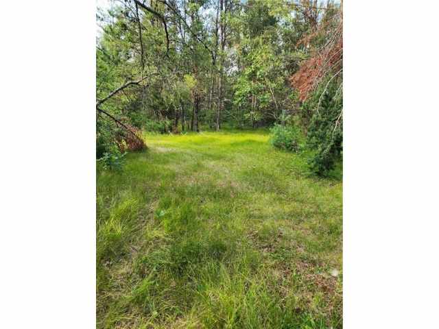 Sparta Land Real Estate