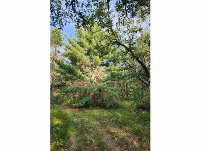 Sparta Land Real Estate