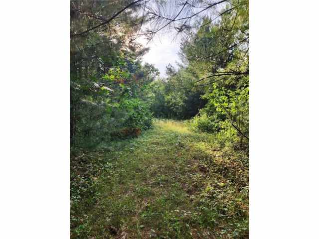 Sparta Land Real Estate