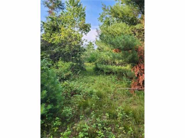 Sparta Land Real Estate