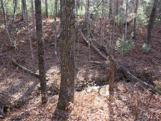 Willard Residential Real Estate