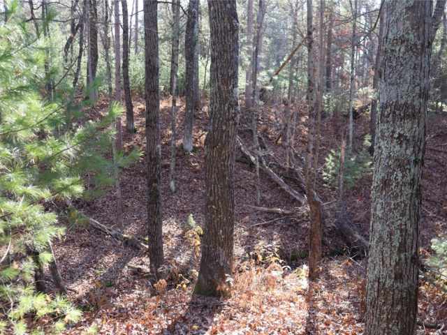 Willard Residential Real Estate