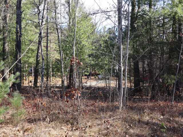 Willard Residential Real Estate