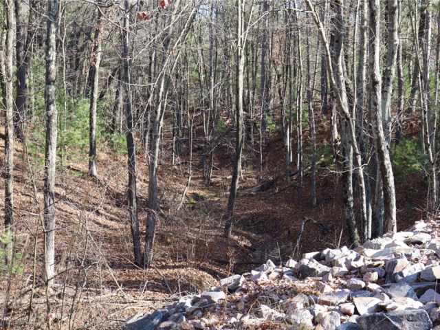 Willard Residential Real Estate