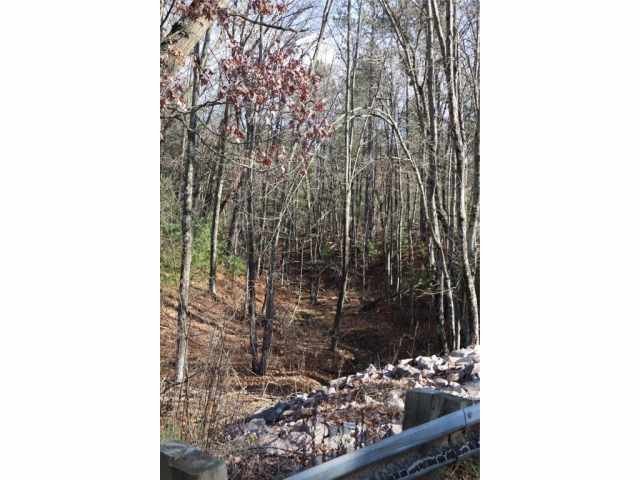 Willard Residential Real Estate