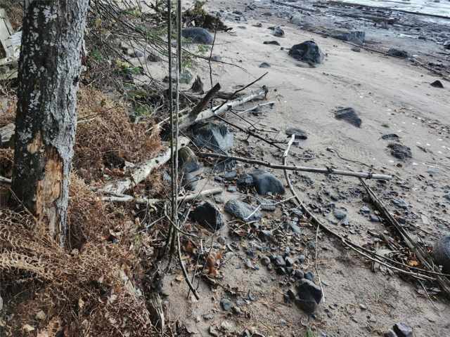 Hayward Residential Real Estate