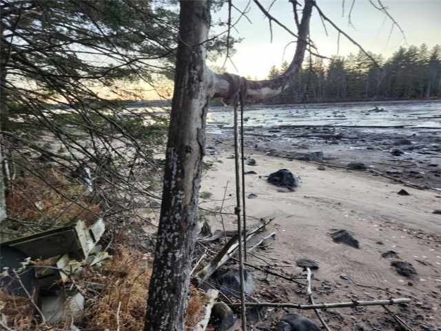 Hayward Residential Real Estate