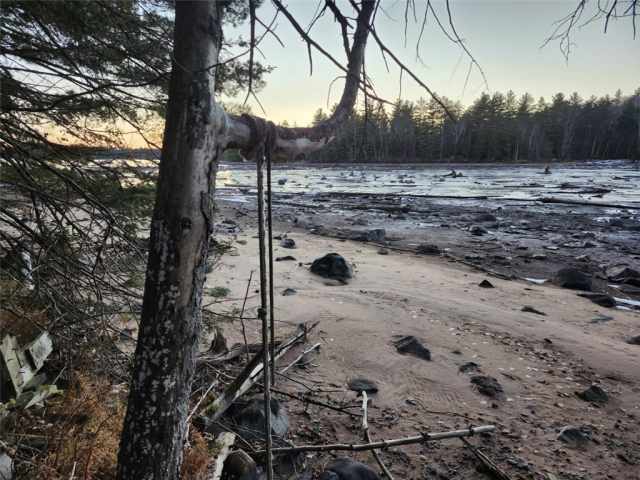 Hayward Residential Real Estate