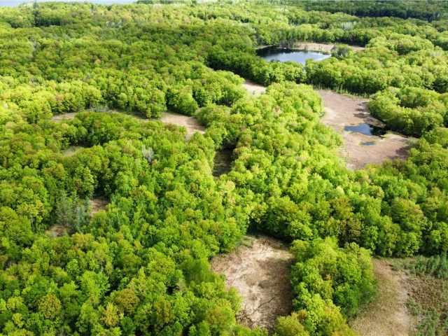 New Auburn Residential Real Estate