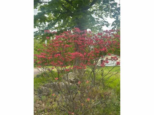 New Auburn Residential Real Estate