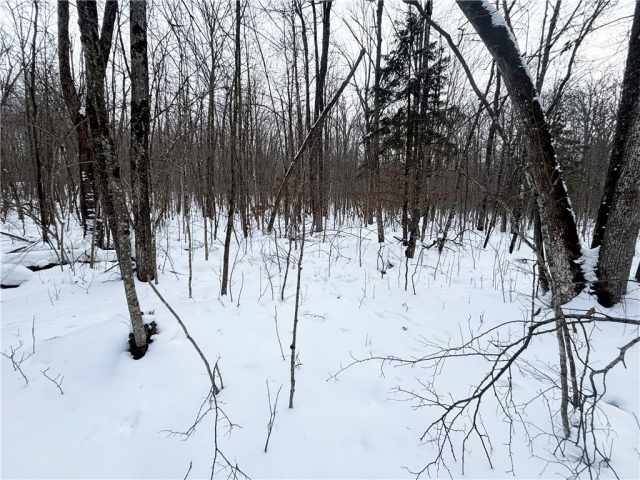 Birchwood Land Real Estate