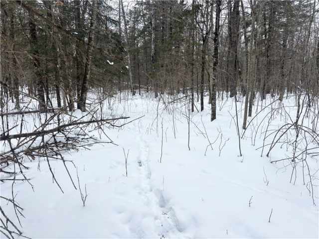 Birchwood Land Real Estate