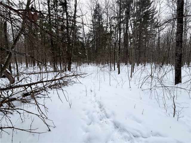 Birchwood Land Real Estate