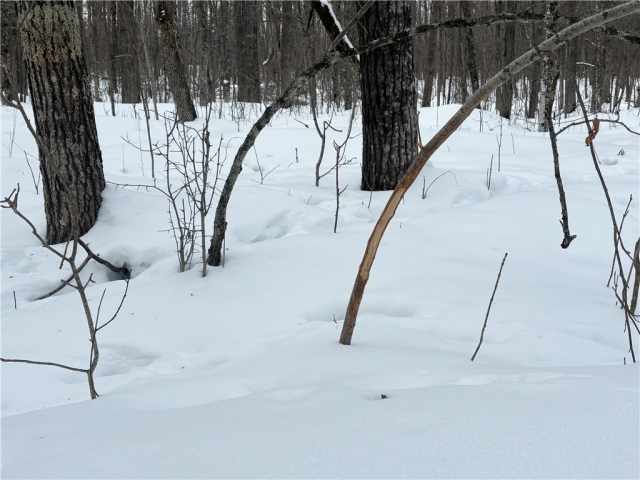 Birchwood Land Real Estate