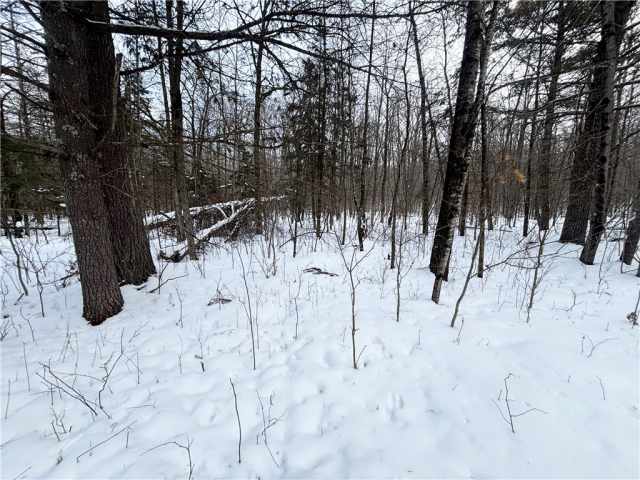 Birchwood Land Real Estate