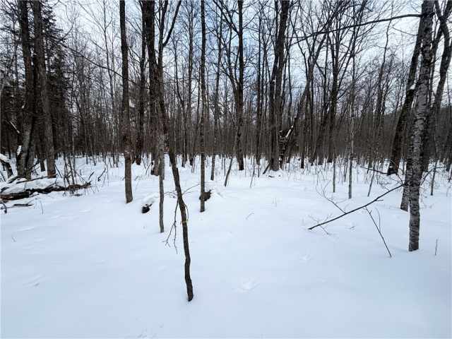 Birchwood Land Real Estate