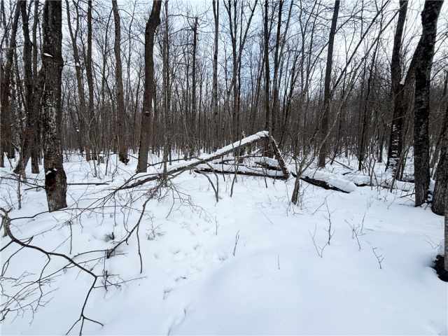 Birchwood Land Real Estate