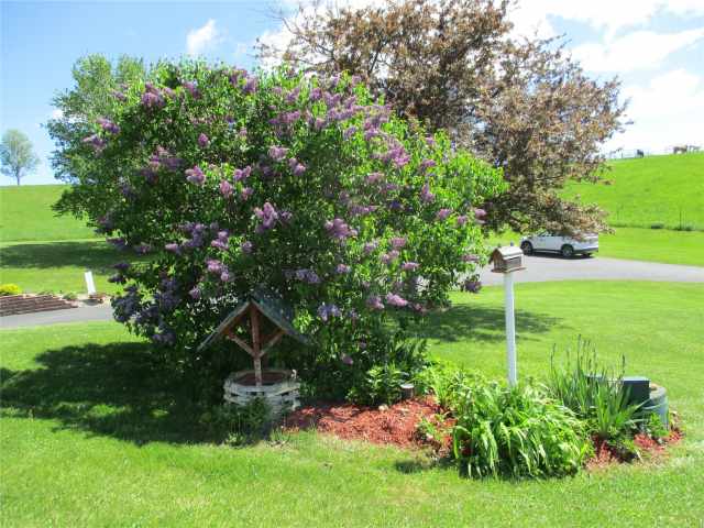 Elroy Residential Real Estate