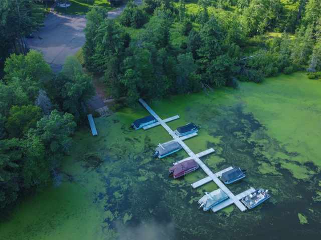 Cameron Land Real Estate