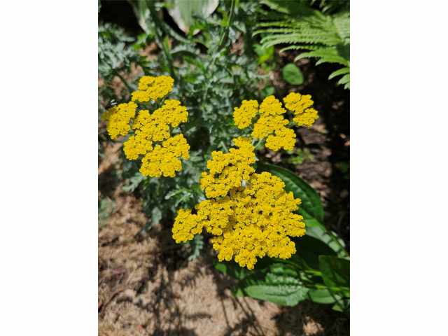 Eau Claire Residential Real Estate