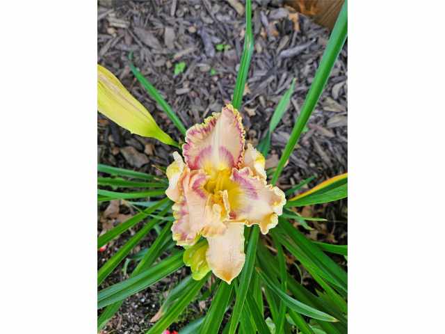 Eau Claire Residential Real Estate