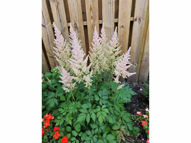 Eau Claire Residential Real Estate