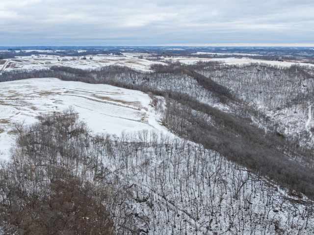 Alma Land Real Estate