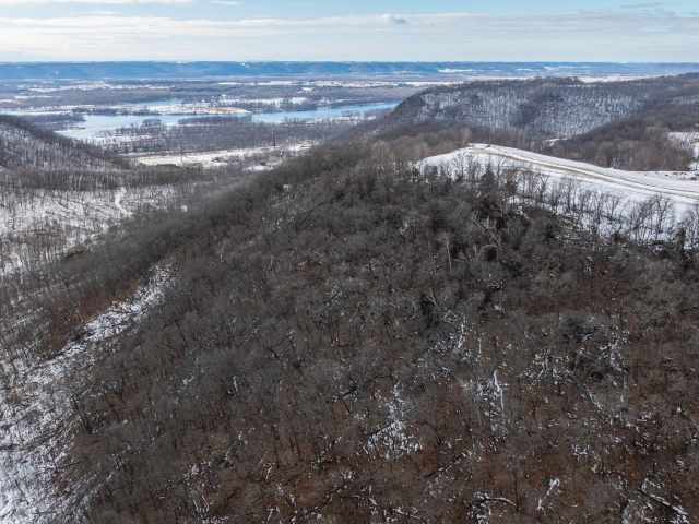 Alma Land Real Estate