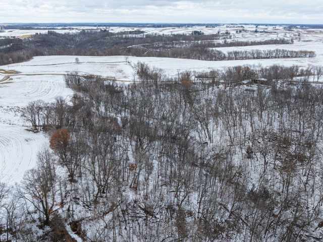 Alma Land Real Estate