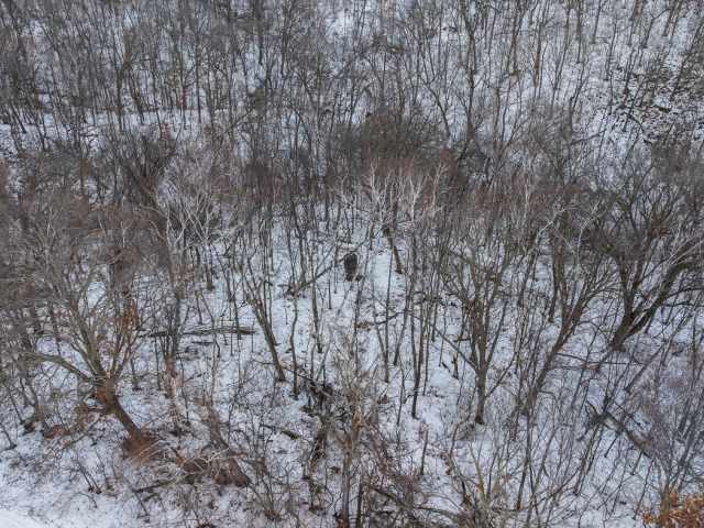 Alma Land Real Estate