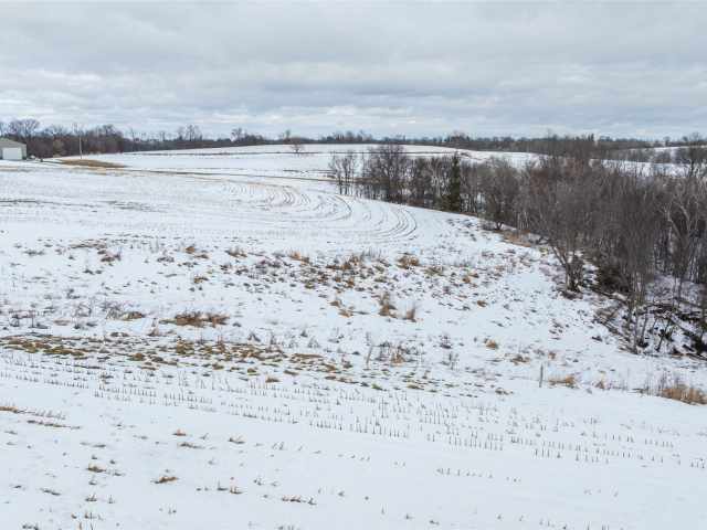 Alma Land Real Estate