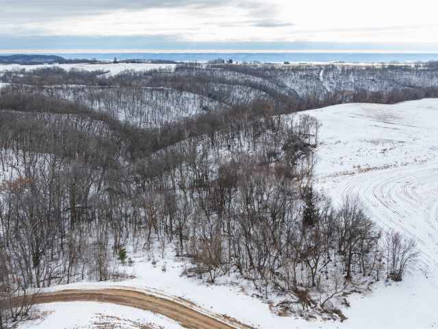 Alma Land Real Estate