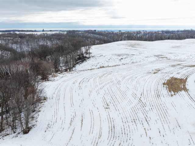 Alma Land Real Estate