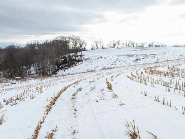 Alma Land Real Estate