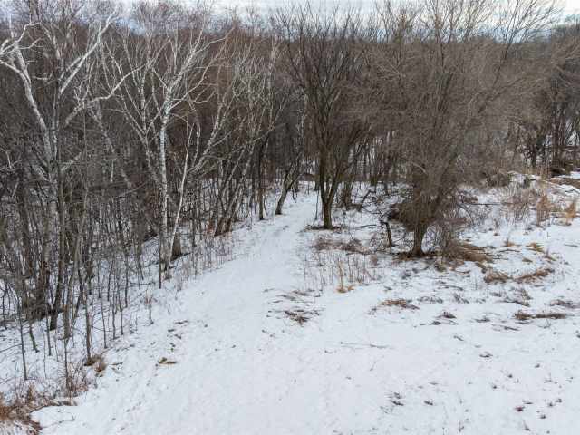 Alma Land Real Estate