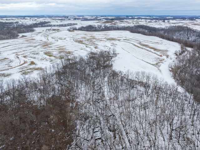 Alma Land Real Estate