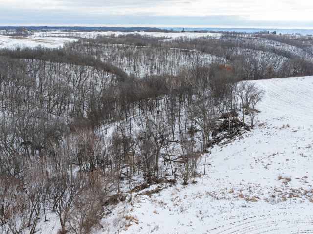 Alma Land Real Estate