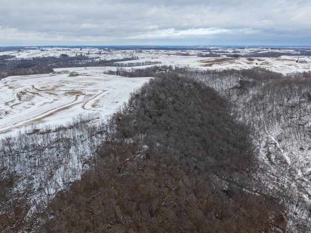 Alma Land Real Estate