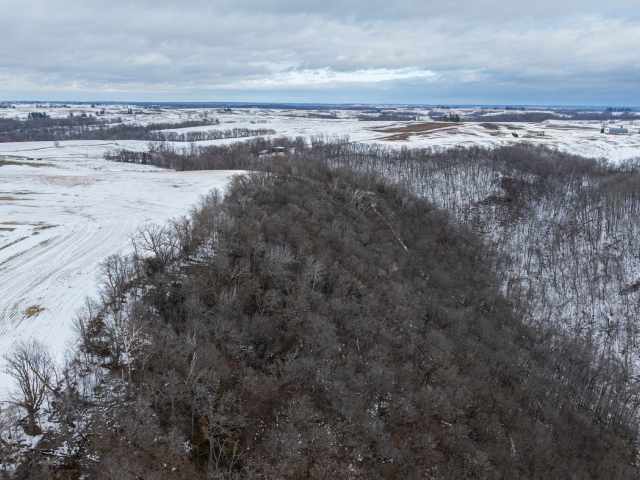 Alma Land Real Estate