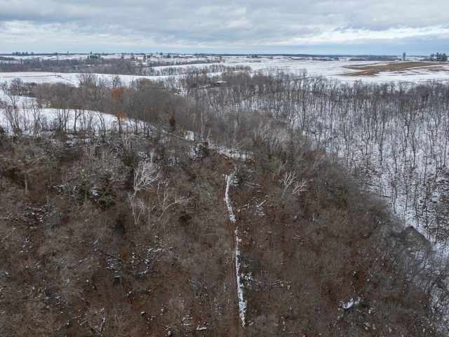 Alma Land Real Estate