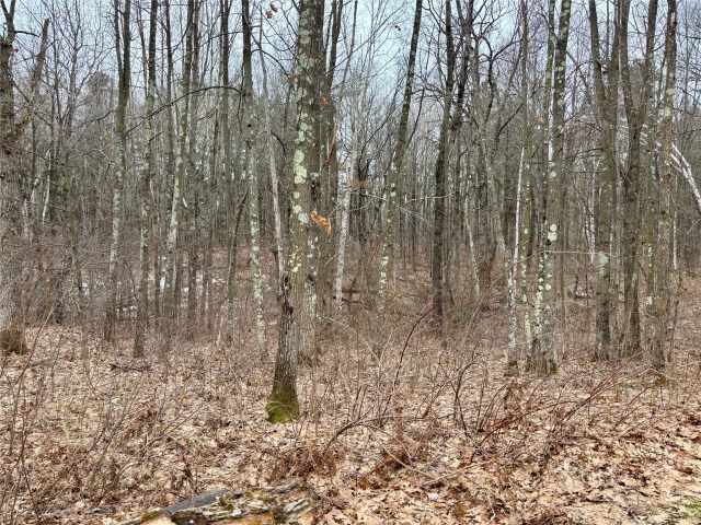 Stone Lake Residential Real Estate